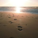 Ars Cum Cura future Blog post 2